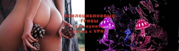 тгк Абинск