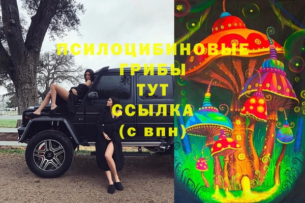 тгк Абинск