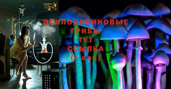 тгк Абинск