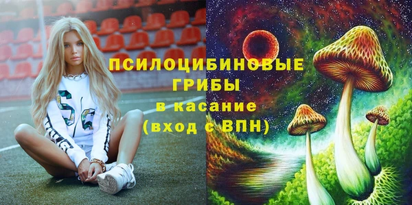 тгк Абинск