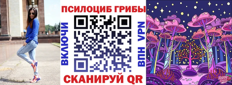 Галлюциногенные грибы прущие грибы  где продают наркотики  Туран 